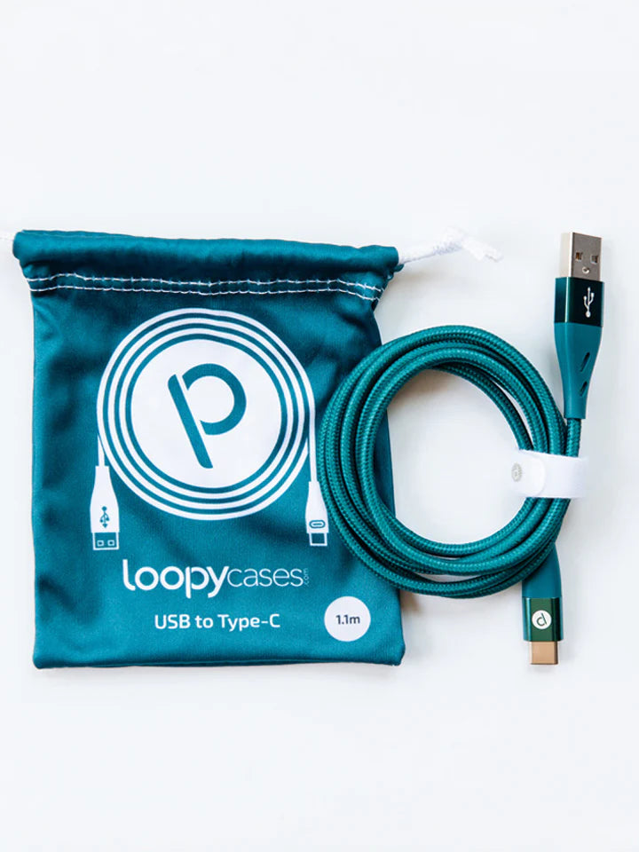 Loopy Charging Cables - Type C (1.1m)