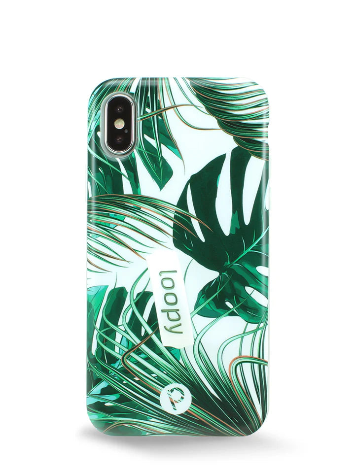 Monstera